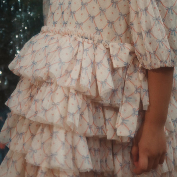 Fay Print Tulle Party Dress (Check Bowie)