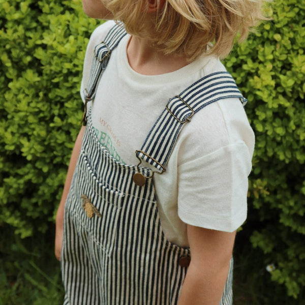 Fender Cotton Twill Naval Stripe Dungarees