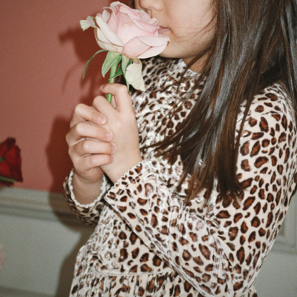 Carlito Leopard Print Velvet Dress