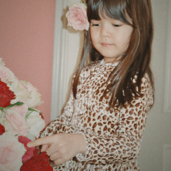 Carlito Leopard Print Velvet Dress