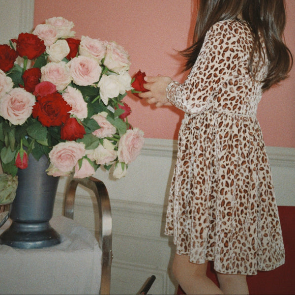 Carlito Leopard Print Velvet Dress