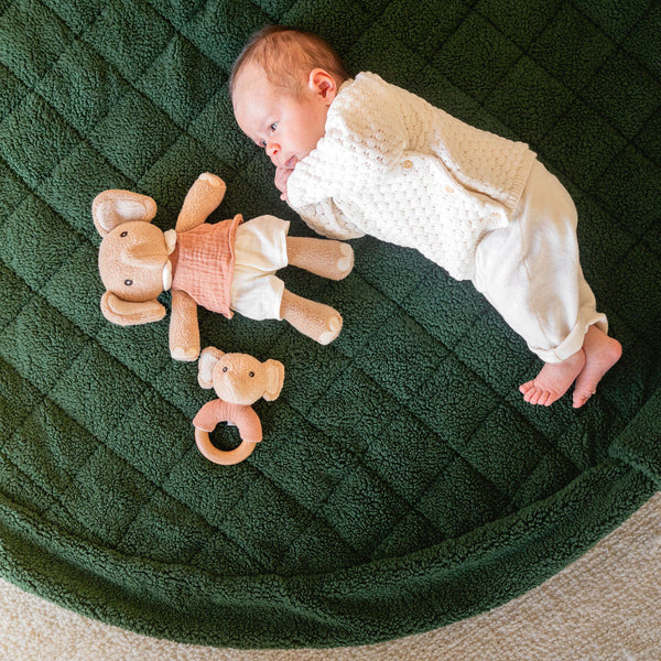 Noomad Teddy 3 in 1 Playmat, Toy Storage Bag + Changing Bag (Evergreen)