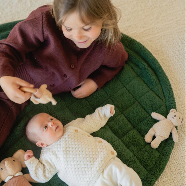 Noomad Teddy 3 in 1 Playmat, Toy Storage Bag + Changing Bag (Evergreen)