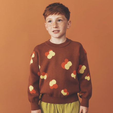 Fynn Brown Jacquard Cotton Knit Jumper