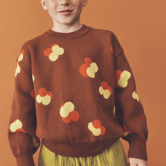 Fynn Brown Jacquard Cotton Knit Jumper