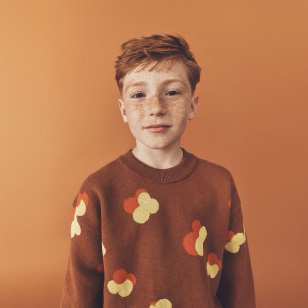 Fynn Brown Jacquard Cotton Knit Jumper