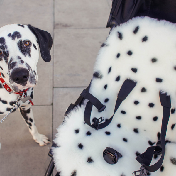 Sheepskin Snuggler (Dalmatian)