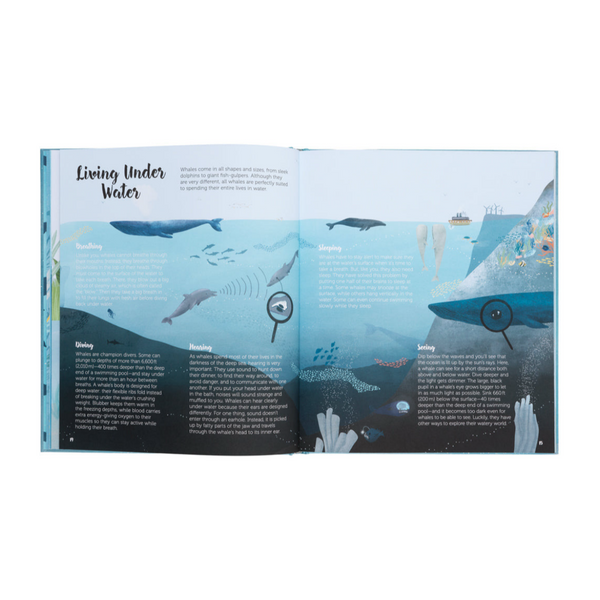 The World Of Whales- Get to Know the Giants of the Ocean