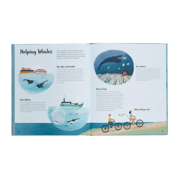 The World Of Whales- Get to Know the Giants of the Ocean