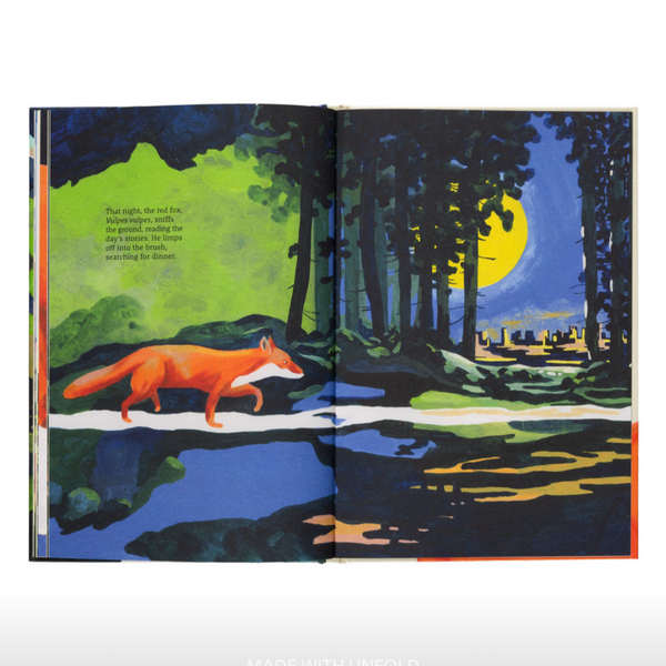 The Path - A Story About Finding Your Way