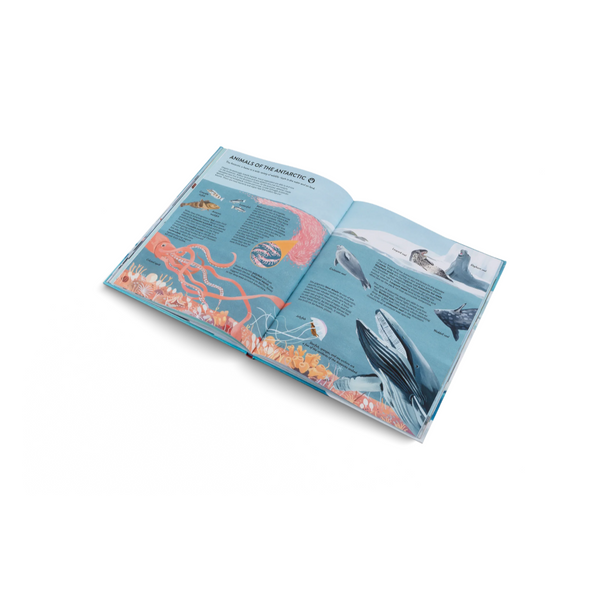 Penguins And Polar Bears- A Introduction Book About the Arctic and Antarctic