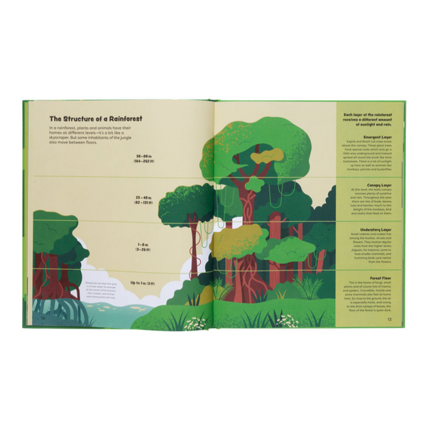 Explore The Rainforest- Explore the Depths of the Rainforest