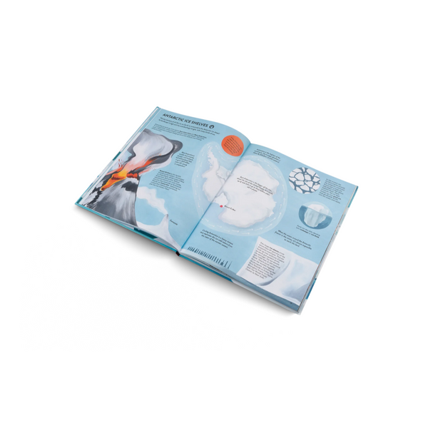 Penguins And Polar Bears- A Introduction Book About the Arctic and Antarctic