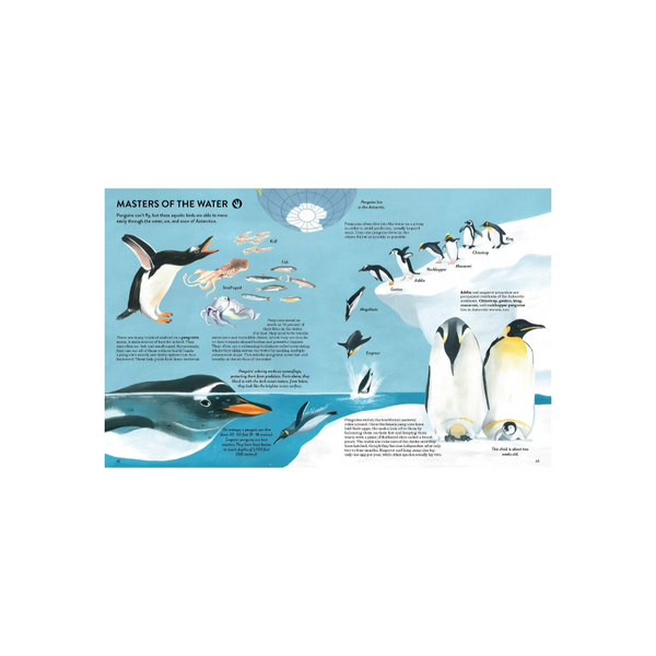 Penguins And Polar Bears- A Introduction Book About the Arctic and Antarctic