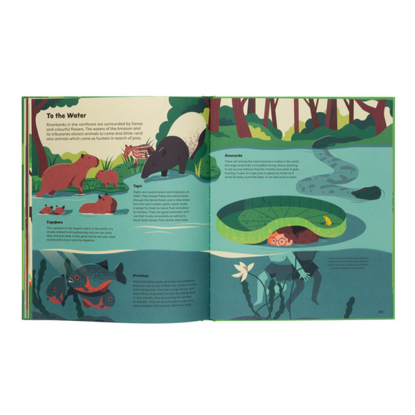 Explore The Rainforest- Explore the Depths of the Rainforest