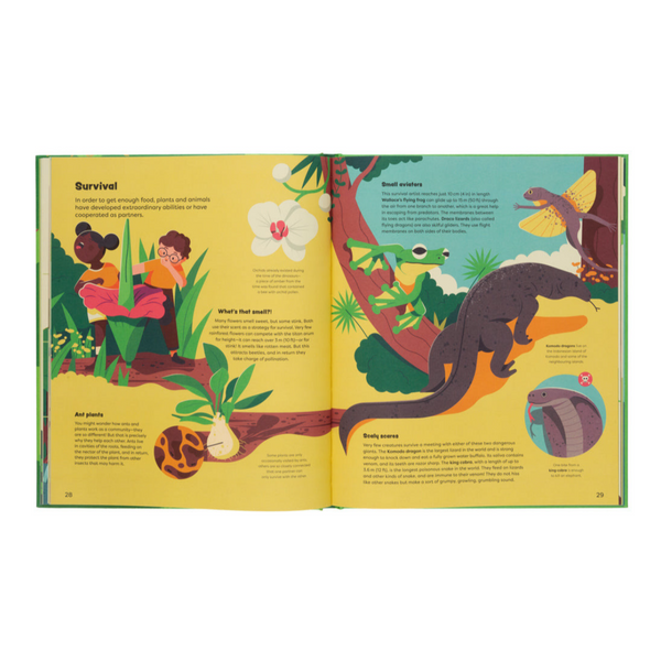 Explore The Rainforest- Explore the Depths of the Rainforest