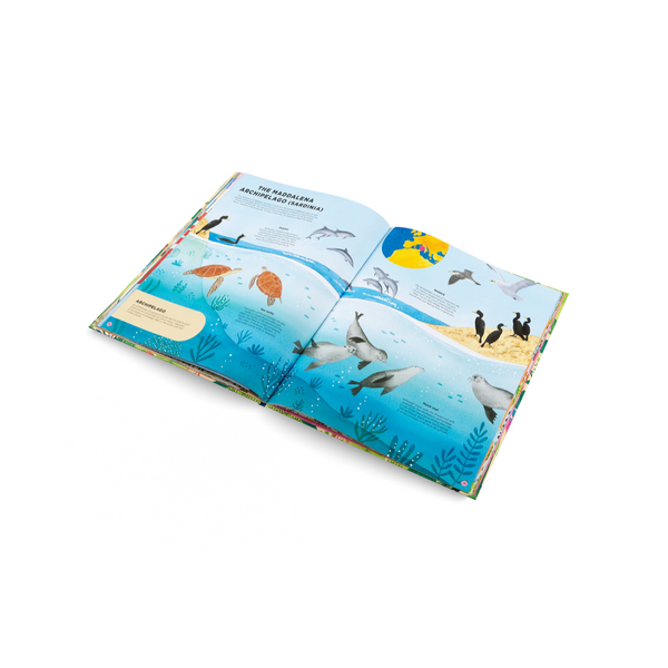 Animals Everywhere- Learn all About Animal Habitats Around the World