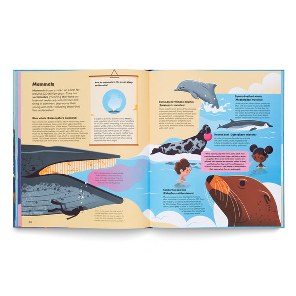 Explore The Ocean- Learn all About Adventures Under the Sea