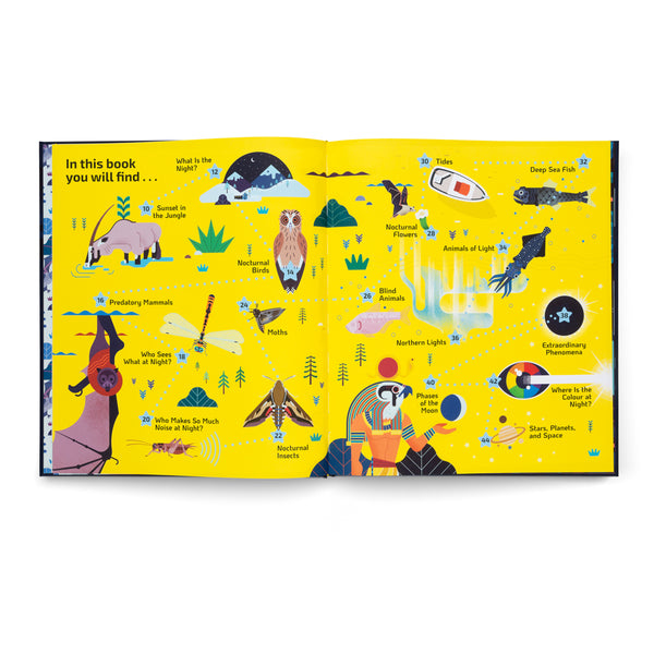 Nocturnal- A Book About Animals After Dark