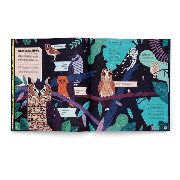 Nocturnal- A Book About Animals After Dark