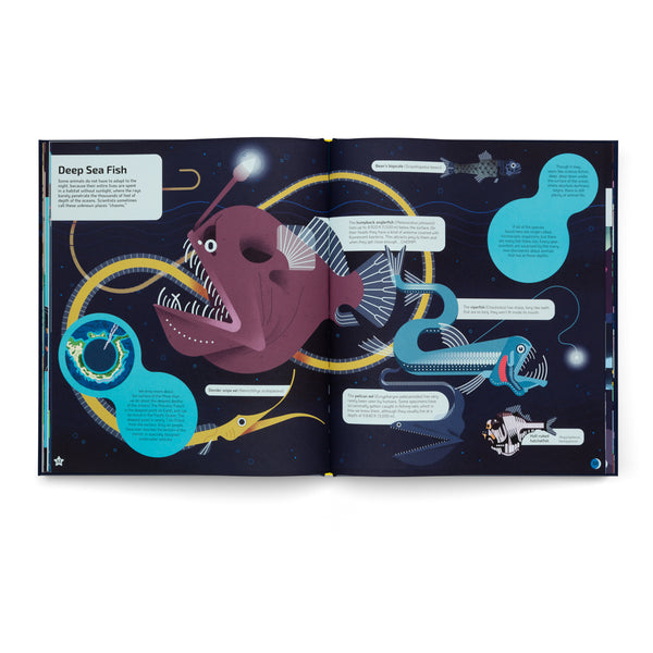 Nocturnal- A Book About Animals After Dark