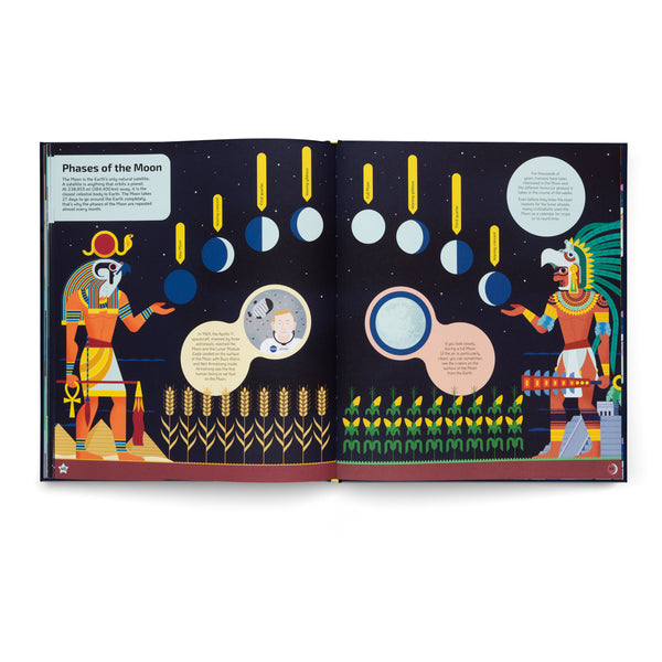 Nocturnal- A Book About Animals After Dark