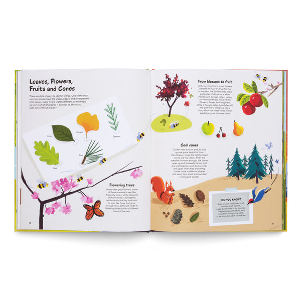 The Little Book of Trees- A Book About Trees Around the World