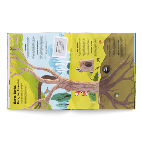 The Little Book of Trees- A Book About Trees Around the World