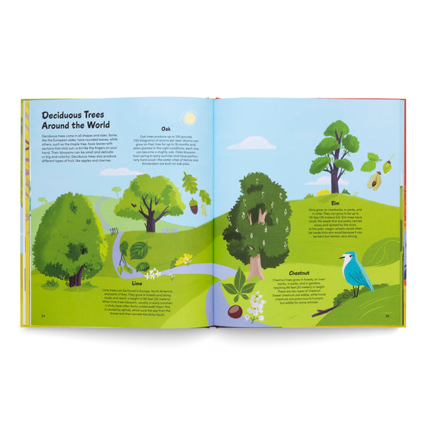 The Little Book of Trees- A Book About Trees Around the World