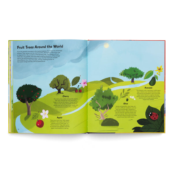 The Little Book of Trees- A Book About Trees Around the World