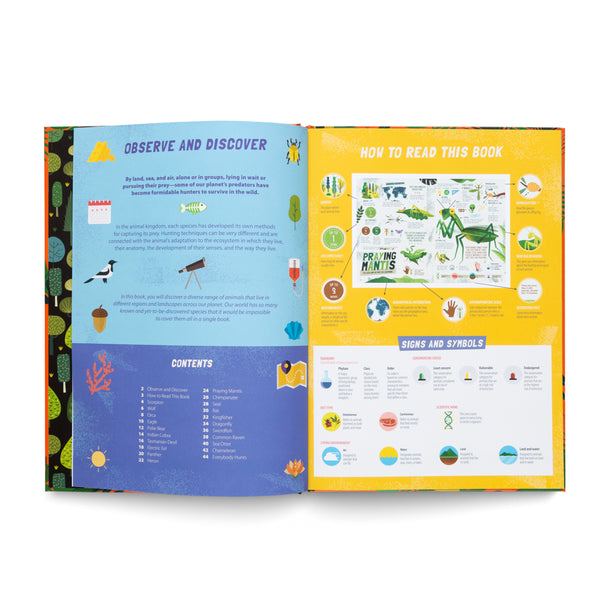 The Hunters- Learn About the Predators of the Animal Kingdom