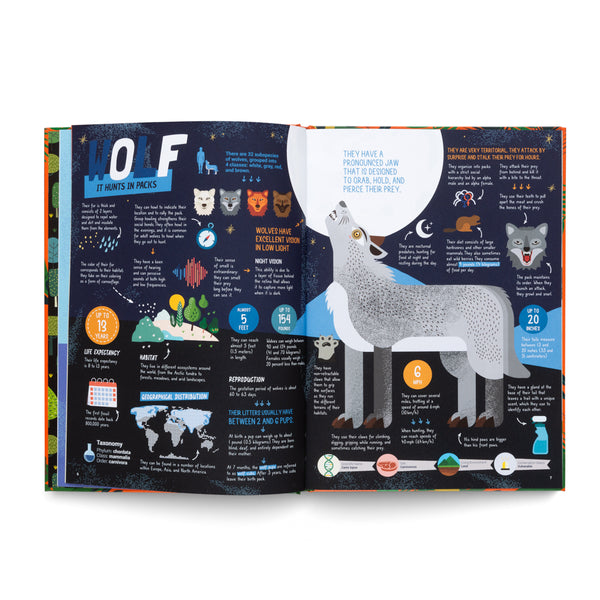 The Hunters- Learn About the Predators of the Animal Kingdom