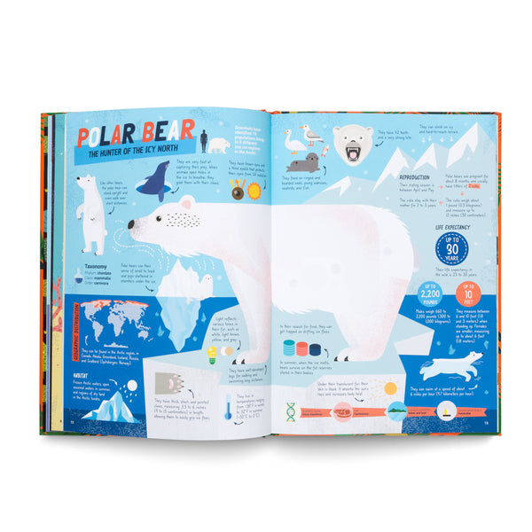 The Hunters- Learn About the Predators of the Animal Kingdom