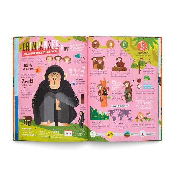 The Hunters- Learn About the Predators of the Animal Kingdom