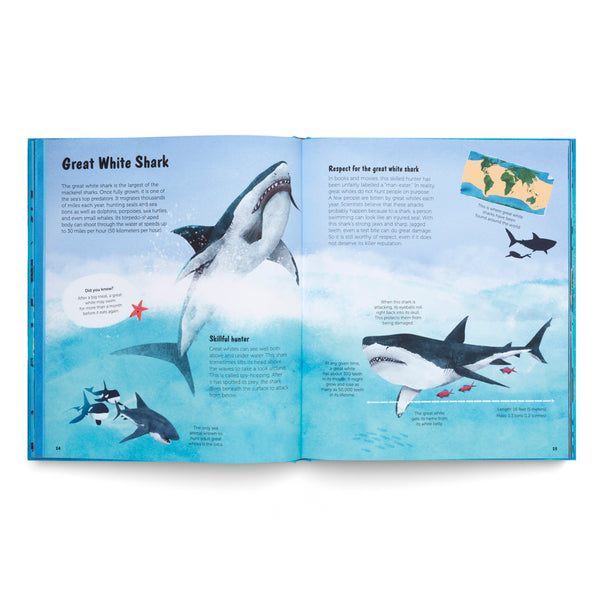 The World of Sharks- Get to Know the Fascinating Creatures of the Oceans