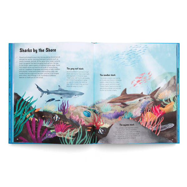 The World of Sharks- Get to Know the Fascinating Creatures of the Oceans