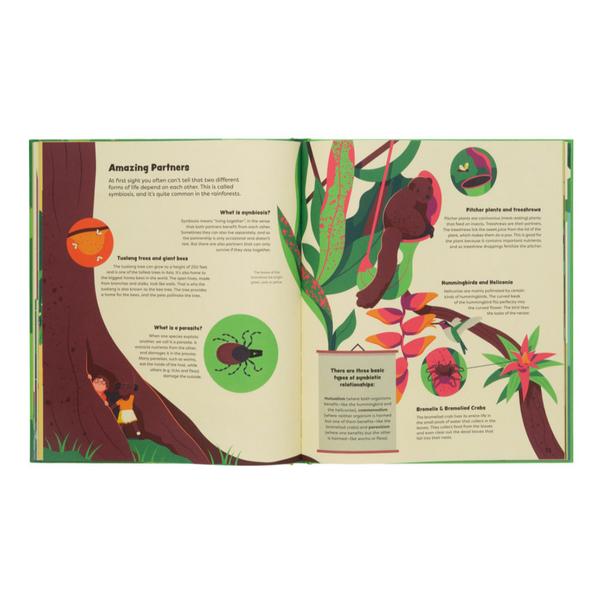 Explore The Rainforest- Explore the Depths of the Rainforest