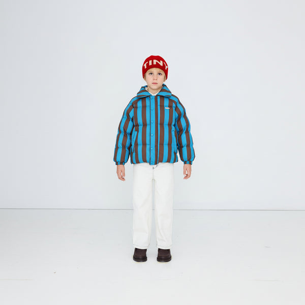 Blue Cacao Stripes Short Padded Puffer Jacket