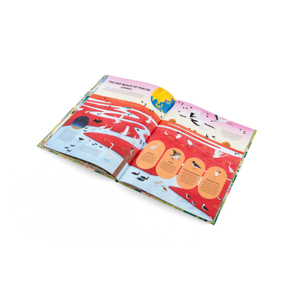 Animals Everywhere- Learn all About Animal Habitats Around the World