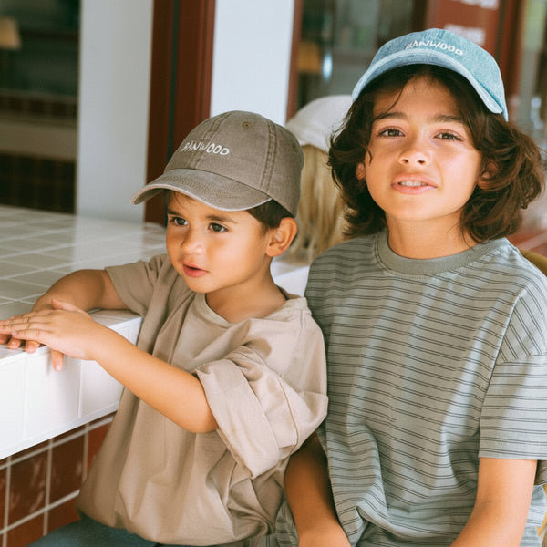 Banwood Washed Cap (Brown)