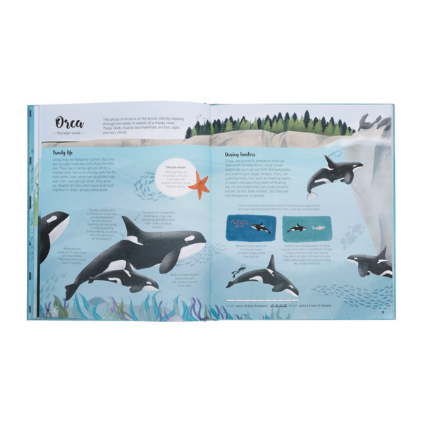 The World Of Whales- Get to Know the Giants of the Ocean