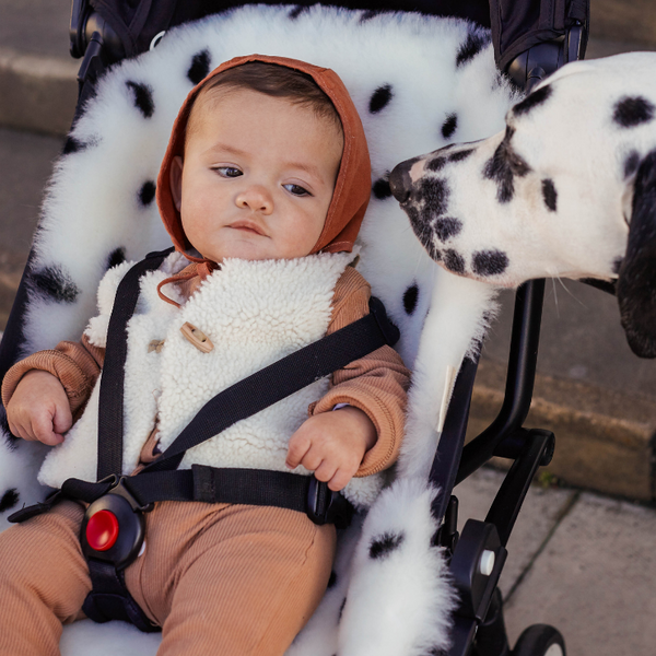 Sheepskin Snuggler (Dalmatian)