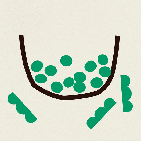 E for Edamame- Alphabet Art Print