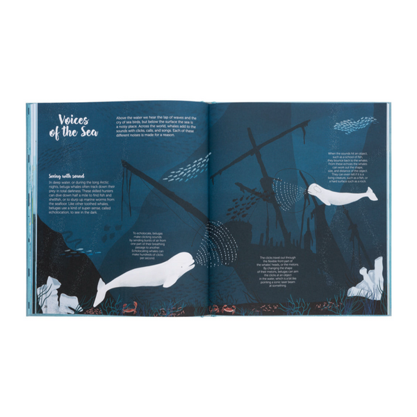 The World Of Whales- Get to Know the Giants of the Ocean