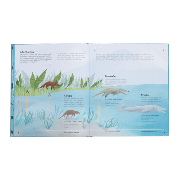 The World Of Whales- Get to Know the Giants of the Ocean