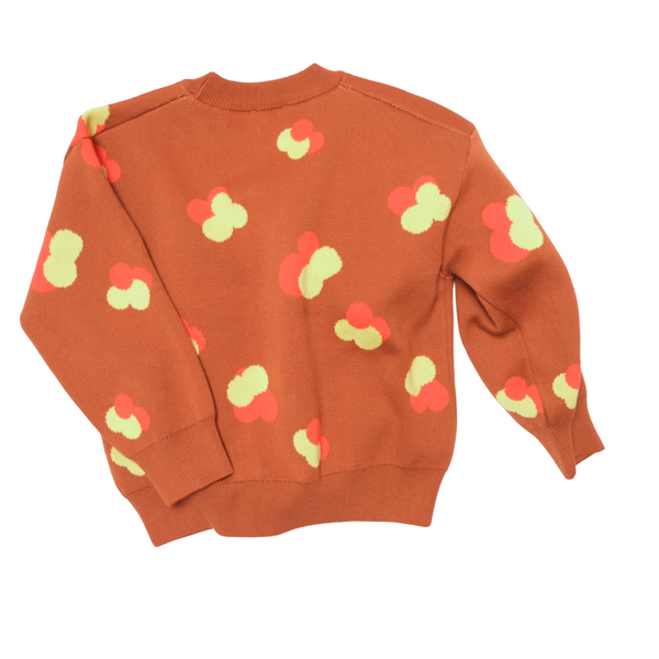 Fynn Brown Jacquard Cotton Knit Jumper