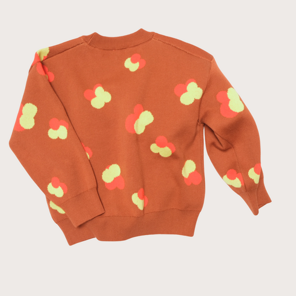 Fynn Brown Jacquard Cotton Knit Jumper