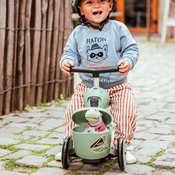 Highway Kick 1 Scooter and Pushbike All-in-One (Green Lines)