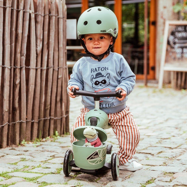 Highway Kick 1 Scooter and Pushbike All-in-One (Green Lines)