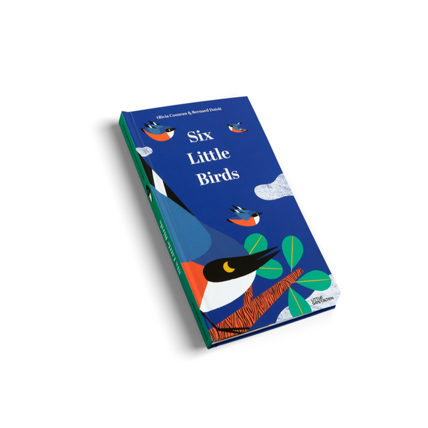 Six Little Birds - A Magical, Rhyming Pop Up Book